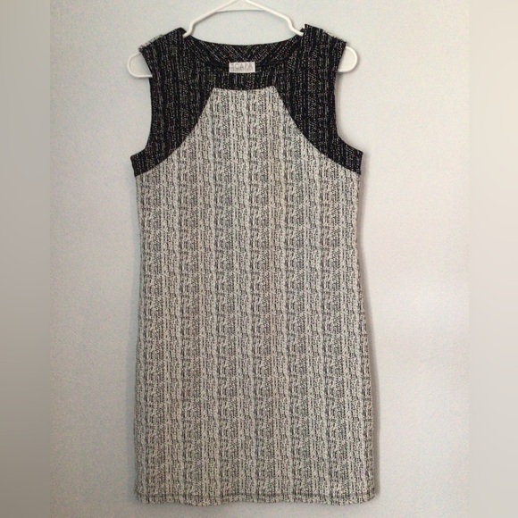 Scapa Lauren Pierre Woman’s Gray & Black Sleeveless Midi Dress. Size Large. - Picture 1 of 4